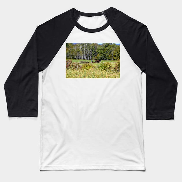 Farming tradition Baseball T-Shirt by dltphoto